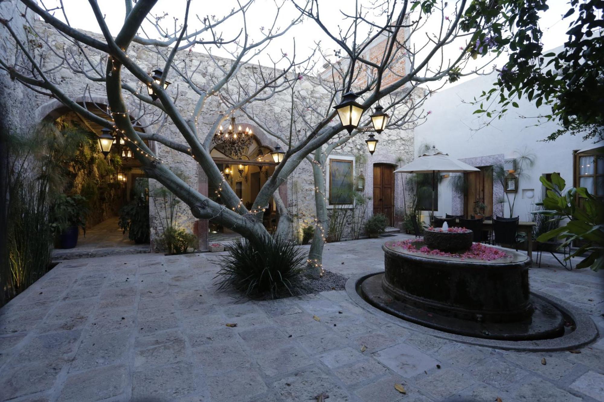 Orchid House San Miguel De Allende Eksteriør bilde