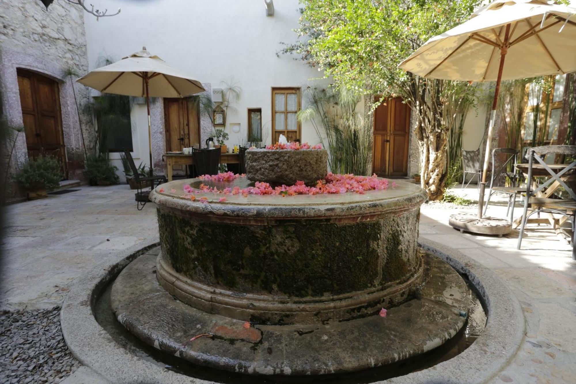 Orchid House San Miguel De Allende Eksteriør bilde